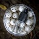 RG Baits Arctic Crab Range - 12mm "High Class" White Pop-Ups