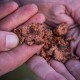 RG Baits Red Sea Squid Range - 1kg Stabilised Boilies