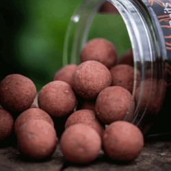 RG Baits Red Sea Squid Range - 15mm Enhanced Hardened Hookbaits