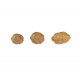 Fox "The Edges Essentials" Range - Pop Up Tiger Nuts