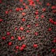 RG Baits Hot Shrimp + Liver Range - 5kg Mini Pellets