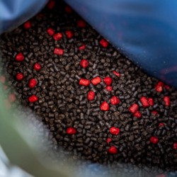 RG Baits Hot Shrimp + Liver Range - 5kg Mini Pellets
