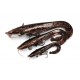 Fox Rage Ultra Realistic Replicant Catfish Lures