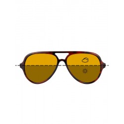 Fortis "AV" Polarised Sunglasses - Tortoiseshell Frame / Switch Lens
