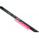 Guru A-Class 4m Telescopic Whip & Rig